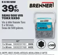 SEAU 500 VIS TORX 5X50