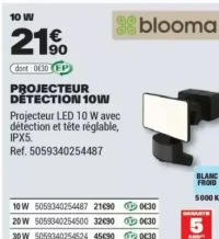 PROJECTEUR DÉTECTION 10W
