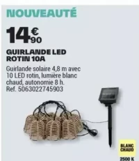 GUIRLANDE LED ROTIN 10A