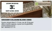 GRAVIER CALCAIRE BLANC 25KG