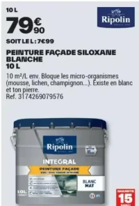 peinture façade siloxane blanche