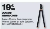COUPE BRANCHES