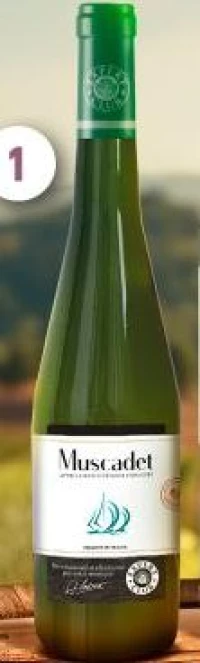 aop muscadet blanc