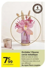Orchidée 1 fleuron cercle métallique