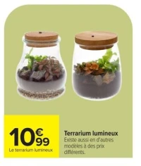Terrarium lumineux