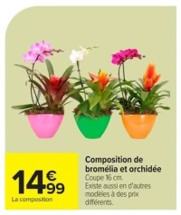 Composition de bromélia et orchidée