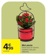 Mini plante