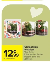 Composition terrarium