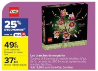 LEGO Les branches de magnolia