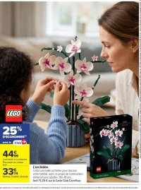 L'orchidée à construire