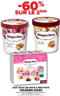 POTS & MINI POTS HAAGEN DAZS