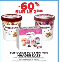 LES POTS & MINI POTS HAAGEN DAZS