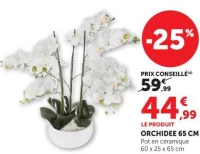 ORCHIDEE 65 CM