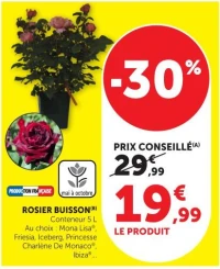 ROSIER BUISSON
