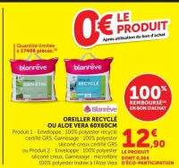 OREILLER RECYCLÉ OU ALOE VERA 60X60CM