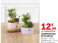 COMPOSITION DE PLANTES