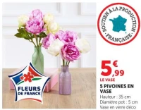 5 PIVOINES EN VASE
