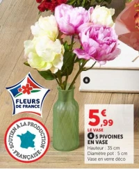 5 PIVOINES EN VASE