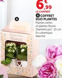 COFFRET DUO PLANTES