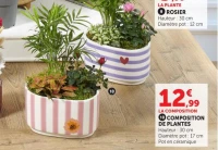 COMPOSITION DE PLANTES