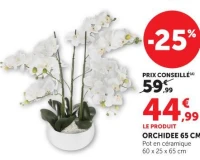 ORCHIDEE 65 CM