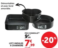 LOT 3 MOULES À CHARNIERE
