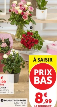 BOUQUET DE 20 ROSES