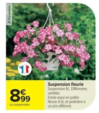Suspension fleurie