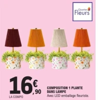 COMPOSITION 1 PLANTE DANS LAMPE