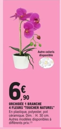 ORCHIDÉE 1 BRANCHE 4 FLEURS "TOUCHER NATUREL"