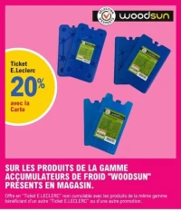 ACCUMULATEURS DE FROID "WOODSUN"