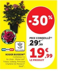Rossier Buisson