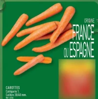 CAROTTES