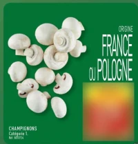 CHAMPIGNONS