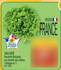 SALADE