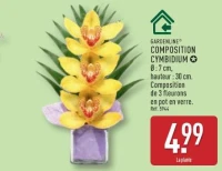 COMPOSITION CYMBIDIUM