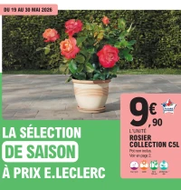 ROSIER COLLECTION C5L