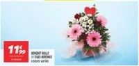Bouquet bulle 11 tiges bérénice 