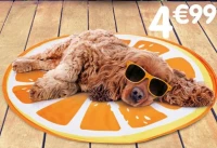 Tapis rafraîchissant pour animaux