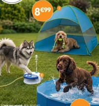 Chilli Paws Tente pour animaux
