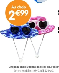 Chapeau avec lunettes de soleil pour chien