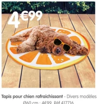 Tapis pour chien rafraîchissant
