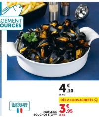 MOULE DE BOUCHOT STG