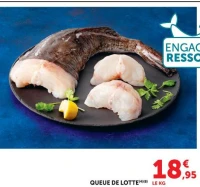 QUEUE DE LOTTE