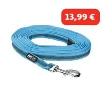 AniOne ANIO Laisse bleu/turquoise 5 m