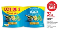 GIRASOLI RANA