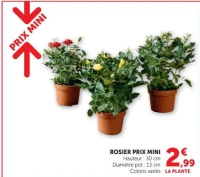 ROSIER PRIX MINI