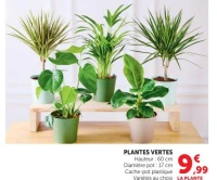 PLANTES VERTES