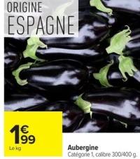 Aubergine