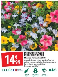 Mélange d'annuelles ECLOZ